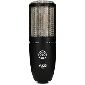 Bundled Item: AKG P220 Large-diaphragm Condenser Microphone