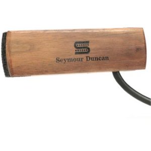 Fishman Neo-D Acoustic Soundhole Humbucker Pickup | Sweetwater