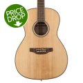 Takamine GY93 New Yorker Parlor Acoustic Guitar - Natural | Sweetwater
