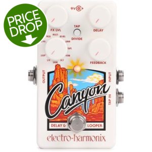 Electro-Harmonix Canyon Delay and Looper Pedal | Sweetwater