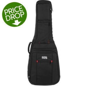 Best double guitar hot sale gig bag