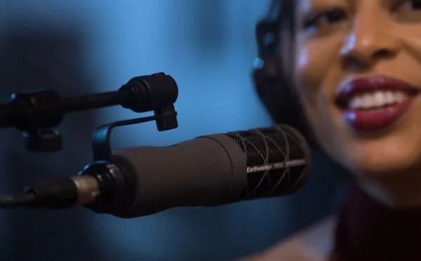 Earthworks SV33 Large Diaphragm Cardioid Condenser Microphone - Thumbnail 3