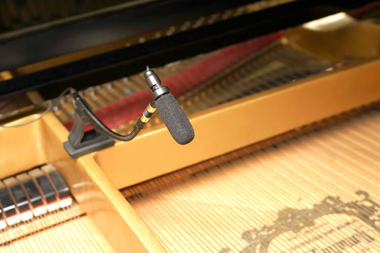 Acacia Audio LIZInstrument Gooseneck Microphone Stereo Piano