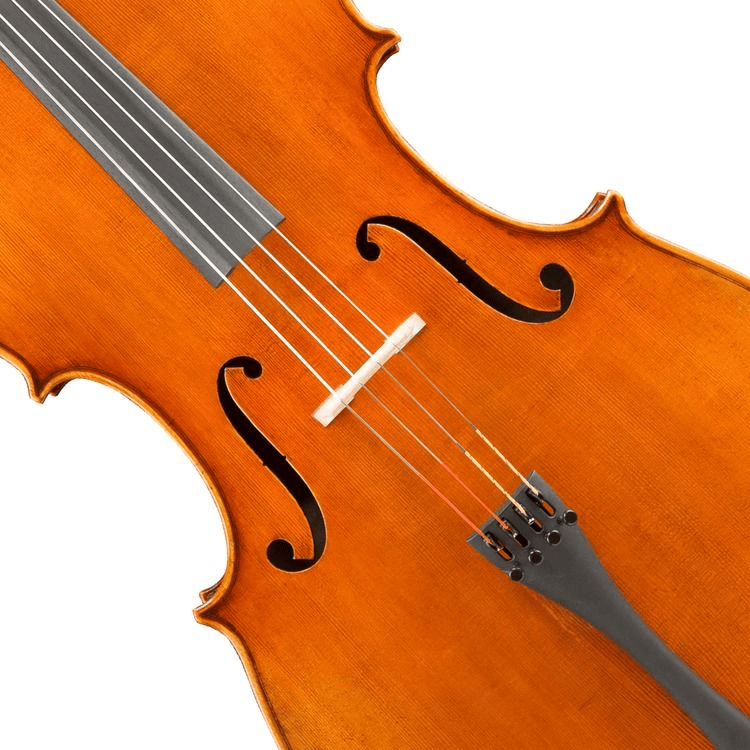 cello Andreas Eastman Series+ VC405+ CELLO — Vermont Violins