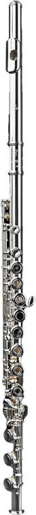 Di Zhao Flutes DZ 401 Student Flute