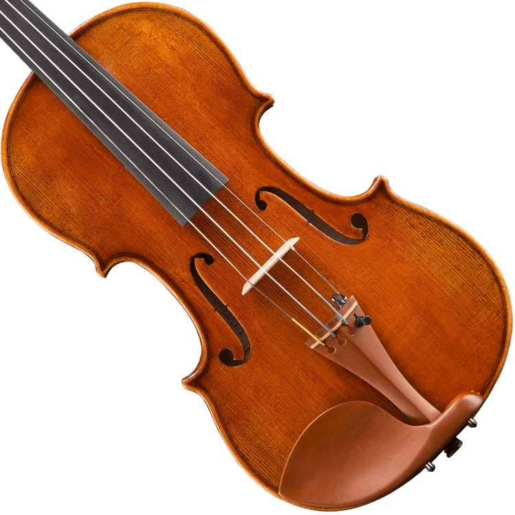 Eastman VL928 Raúl Emiliani Professional Violin - 4/4 Size 