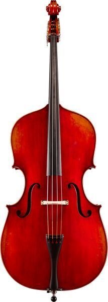 Eastman VB605 Andreas Eastman Busan Pattern Double Bass - 7