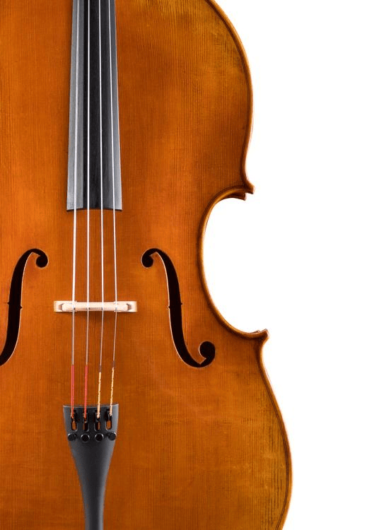 cello Eastman_Cello_VC702_Montagnana