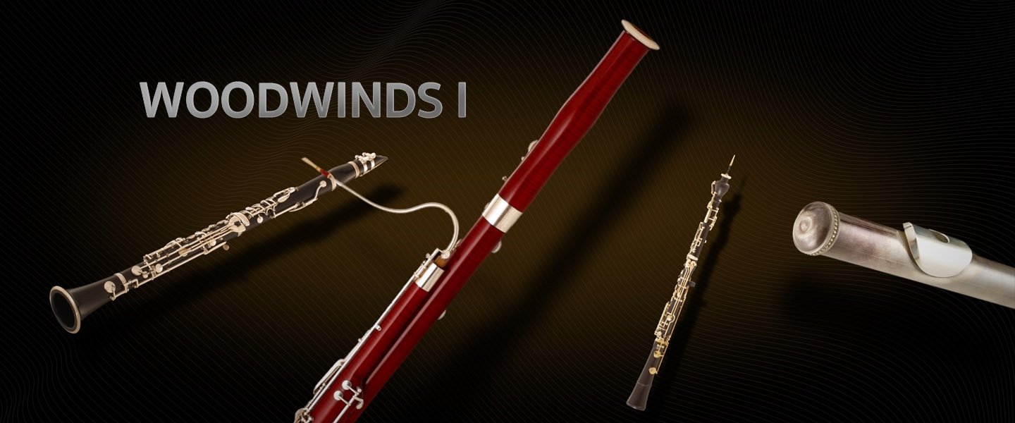 Vienna Symphonic Library Woodwinds I - Full Library | Sweetwater