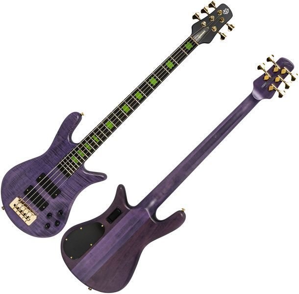 spector skyler acord