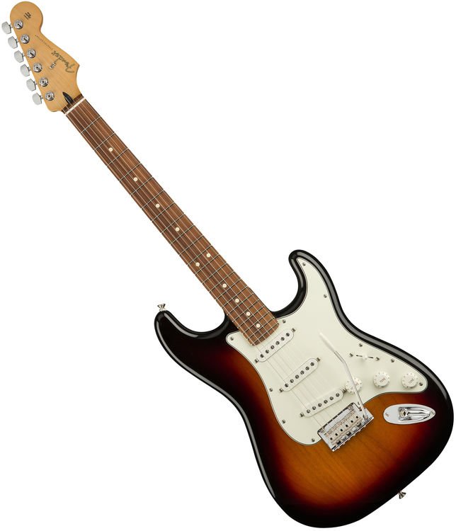 fender player stratocaster rosewood