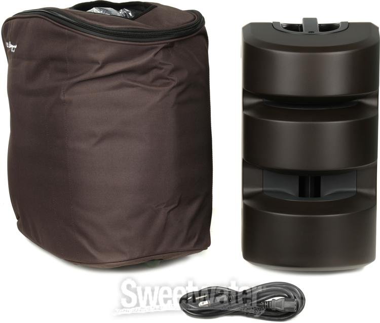 LR Baggs Synapse Personal PA System Sweetwater