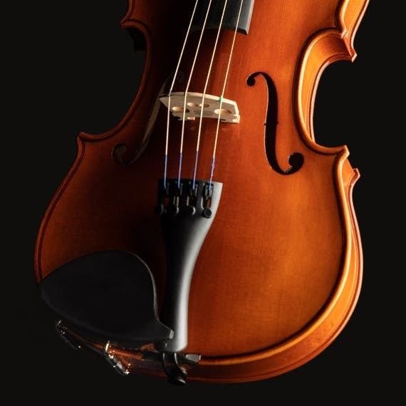 Eastman VL100 Samuel Eastman Student Violin Outfit - 1/8