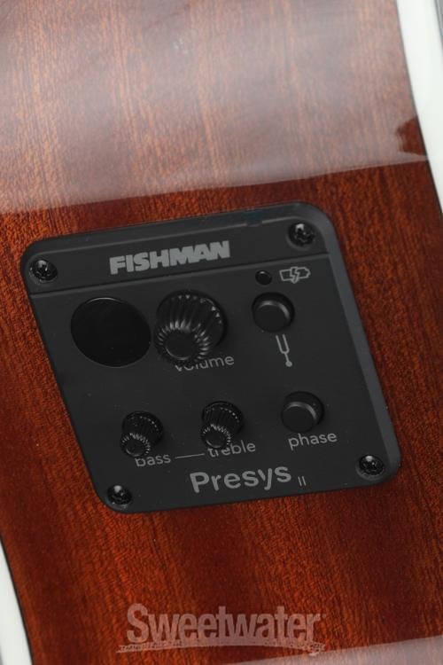 Washburn Deep Forest Spalted Maple Acoustic-electric Guitar - Black Fade, Sweetwater Exclusive