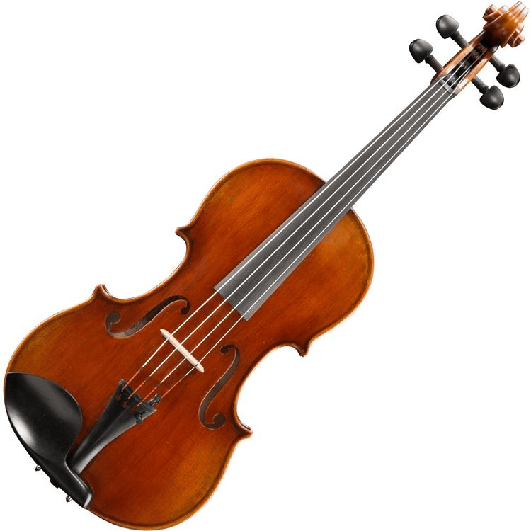Eastman VA701 Rudoulf Doetsch Professional Viola - 16-inch