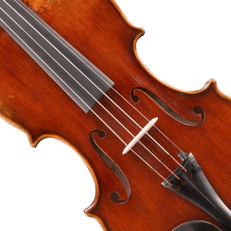 Eastman VL701 Rudoulf Doetsch Professional Violin - 4/4 Size 