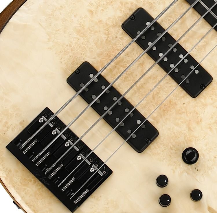 Fodera Imperial 5 Select Box Elder Burl Sweetwater