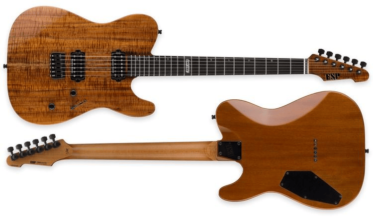 ESP USA TE-II HT Koa - Natural | Sweetwater