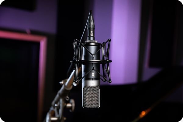 Slate Digital VMS ML-1A Large-diaphragm Condenser Modeling Microphone