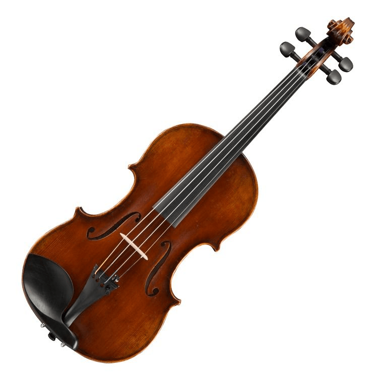 Eastman VL401 Ivan Dunov Intermediate Violin - 4/4 Size | Sweetwater