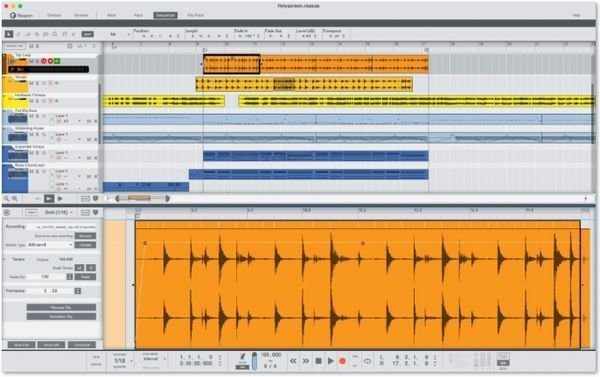 Reason Studios Reason 13 Software