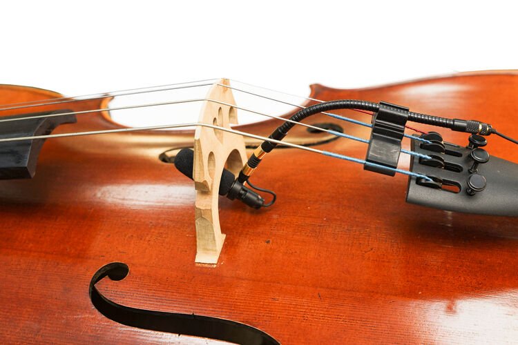 Acacia Audio LIZInstrument Gooseneck Microphone Cello Sweetwater