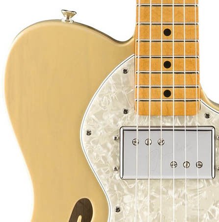 ギター Fender Telecaster Thinline US Blonde 817d707df18dgsj70F5H0ns2OStYJX