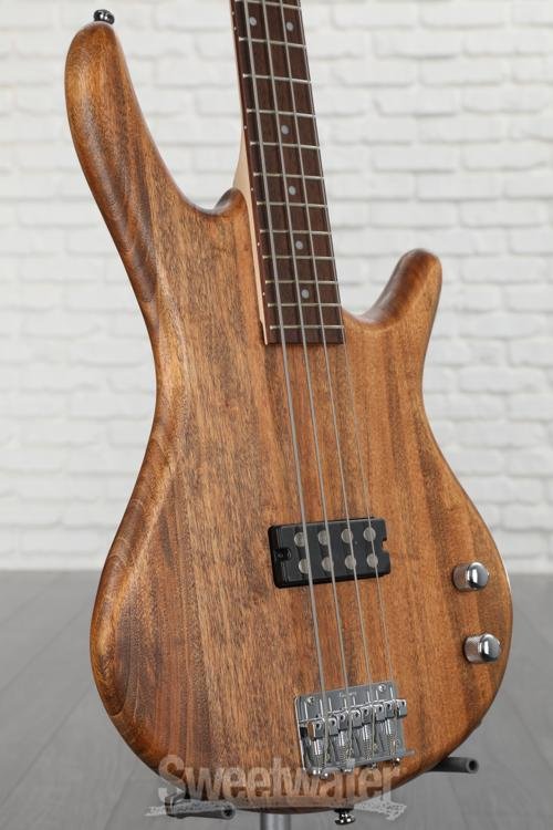 GIO Ibanez 4弦エレキベース GSR100EX-MOL