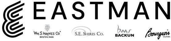 Eastman Eastman VL100+ Series+ Student Violin Outfit - 4/4 Size ...