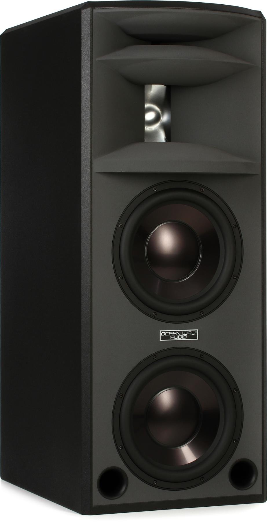 twin 12 inch subwoofer