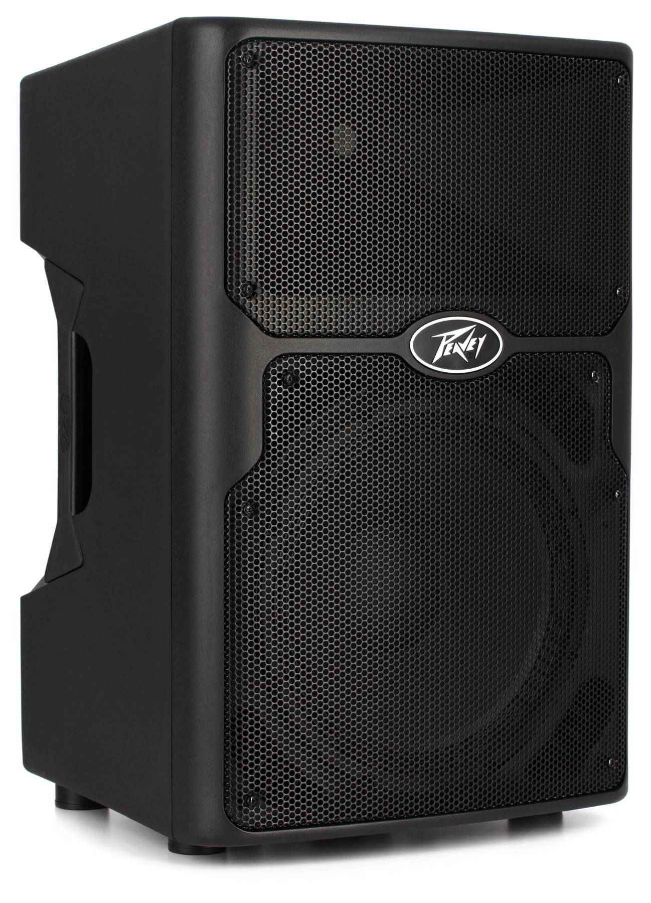 peavey pvx p10