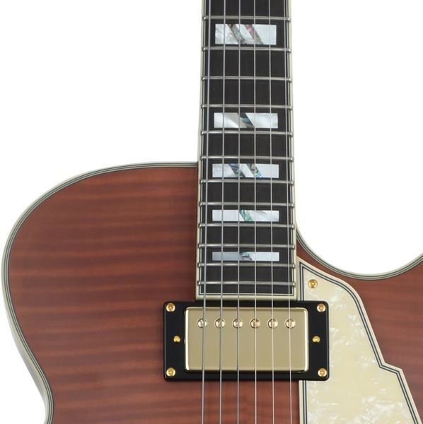 D'Angelico Deluxe SS Limited Edition Semi-hollow Electric Guitar 
