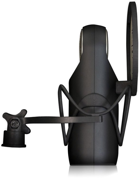 Aston Microphones Element Active Movingcoil Microphone Sweetwater