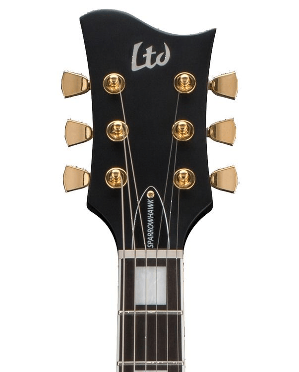 best 25 bass guitars for