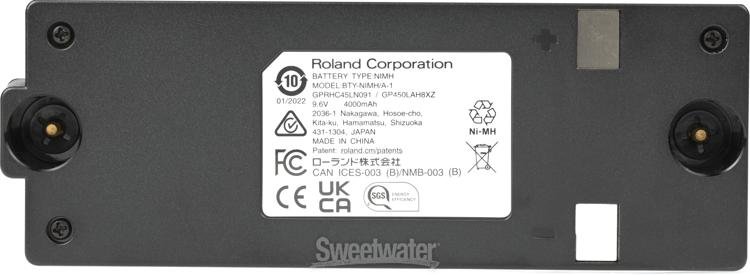 Rolandアンプ用 オプションバッテリー BTY-NIMH/A Roland BTY-NIMH/A – United States