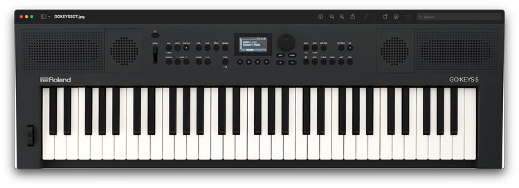 Roland GO KEYS 5 ブラック 箱付き Roland GoKeys 5 Music Creation Keyboard - Graphite KEY