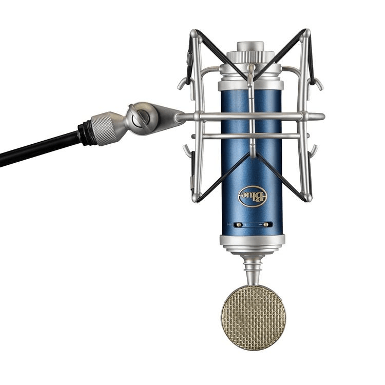 Bluebird authentic Sl Starter Recording Setup