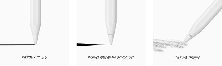 Apple Apple Pencil Active Stylus for iPad (2nd Generation