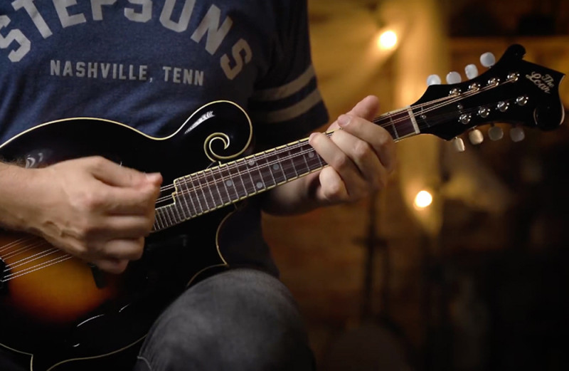 The Loar | Sweetwater