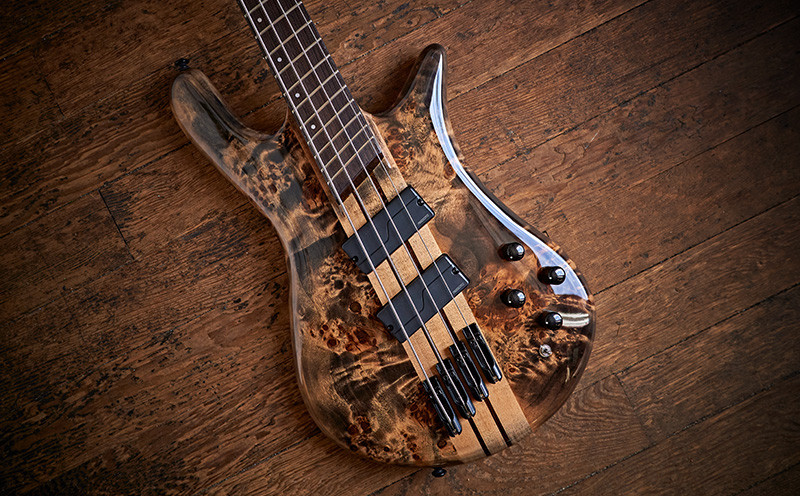 Spector | Sweetwater