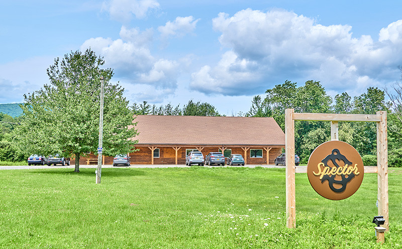 Spector | Sweetwater