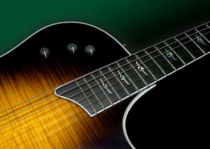 The Taylor T5 Thinline | Sweetwater