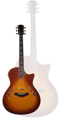 The Taylor T5 Thinline