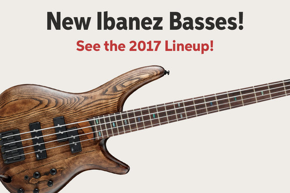 Bass Guitars | Sweetwater