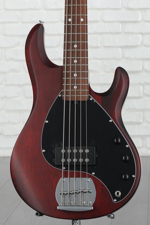 Sterling By Music Man StingRay RAY5 Bass Guitar - Walnut Satin | Sweetwater