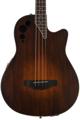 Click to learn more about the Ovation Applause AEB4-7S Mid-depth Acoustic-electric Bass - Honeyburst Satin