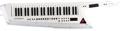 Click to learn more about the Roland AX-Edge 49-key Keytar Synthesizer - White