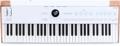 Click to learn more about the Arturia AstroLab 61 Stage Keyboard
