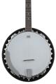 Click to learn more about the Washburn Americana B9 5-string Resonator Banjo