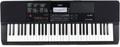 Click to learn more about the Casio CT-X700 61-key Portable Arranger Keyboard